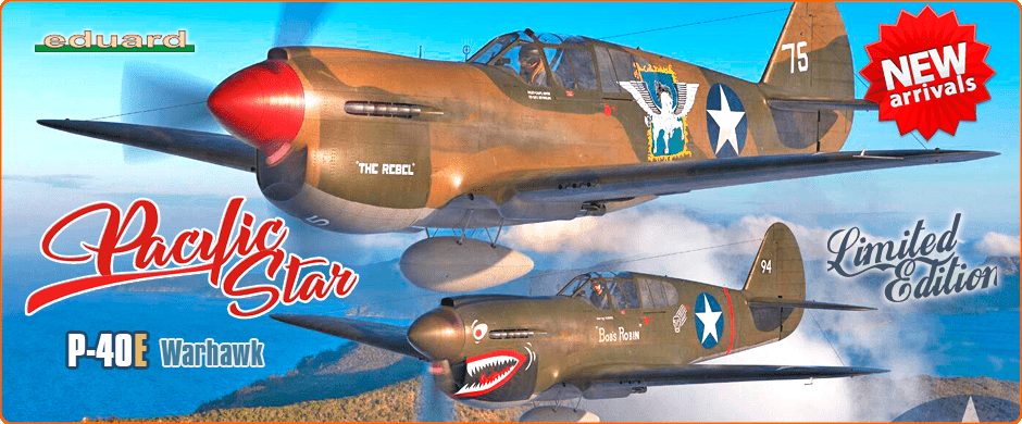 Eduard 11185 1/48 US P-40E Warhawk Fighter Aircraft DUAL COMBO [Limited Edition]
